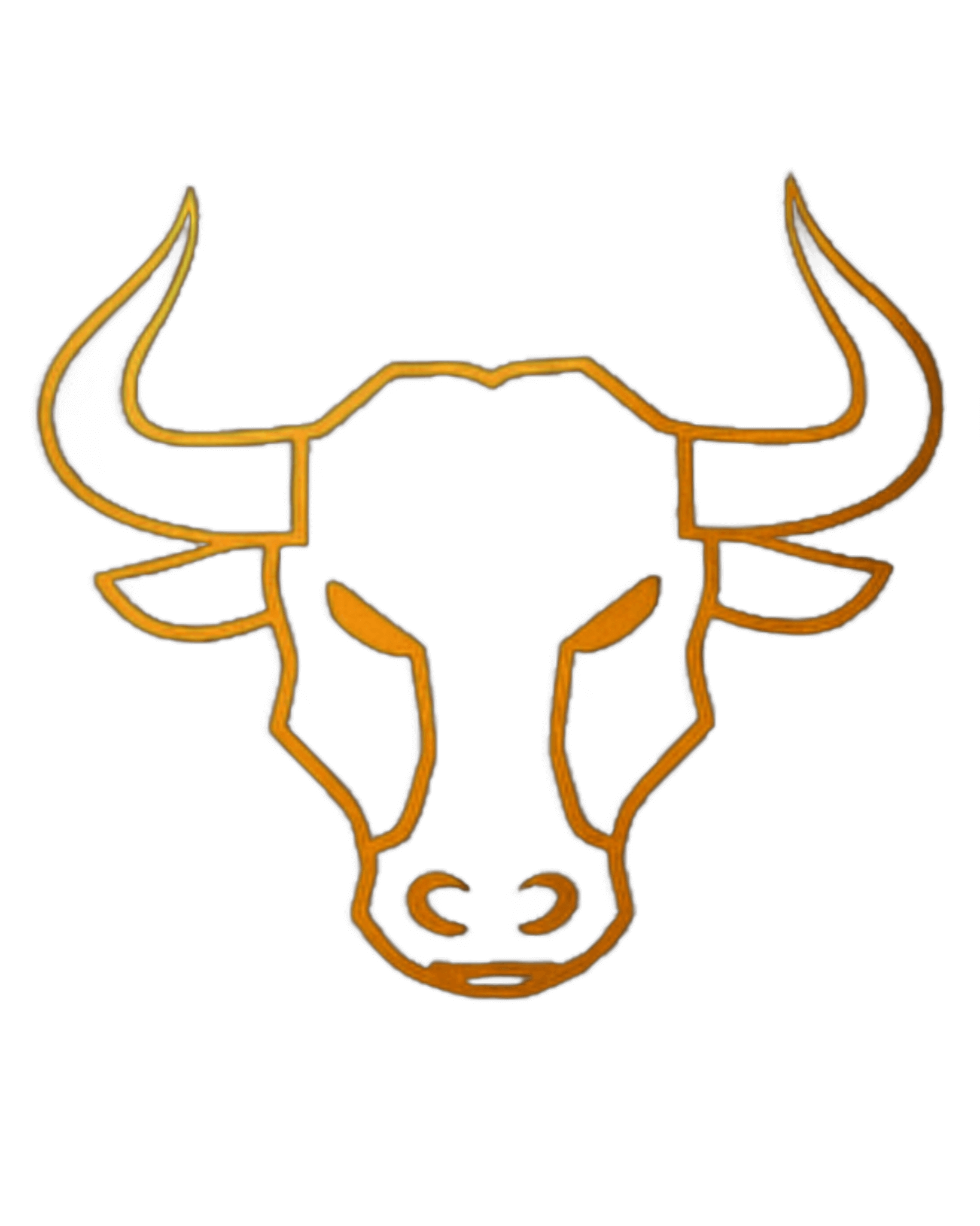 Takyho sušené maso